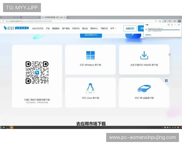 新普京软件下载详细操作流程，轻松掌握软件安装与配置技巧