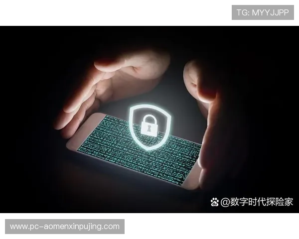 新葡k京app：最新安全措施保障用户隐私与资金安全的方法