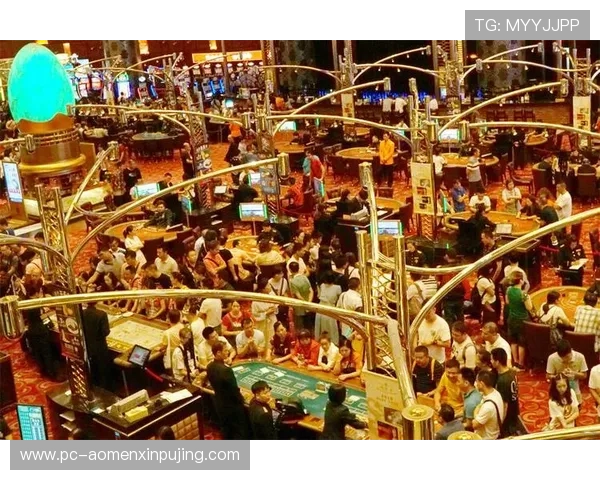 新葡京娱乐网娱乐：用户评价与口碑分析，助你理性选择优质娱乐平台