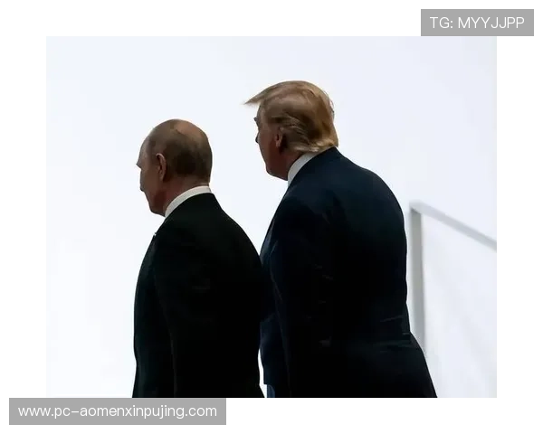 新普京在线娱乐官网最新版本下载指南，确保您获得最佳的游戏体验与安全保障