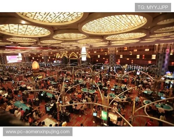 新葡京娱乐游戏官网提供最全面的在线博彩体验与安全保障,助你轻松赢取丰厚奖金 新葡京娱乐游戏官网提供最全面的在线博彩体验与安全保障,助你轻松赢取丰厚奖金