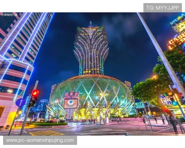 澳门新葡京真人平台官方认证，保障玩家资金安全与隐私保护措施