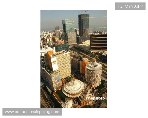 澳门葡京国际入口登录指南，详细步骤帮助新手快速顺利进入博彩世界