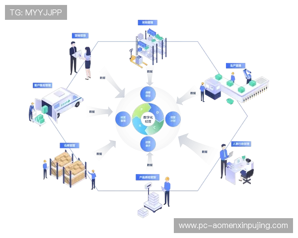 新葡京集团未来发展方向:数字化转型与全球化战略布局 新葡京集团未来发展方向:数字化转型与全球化战略布局